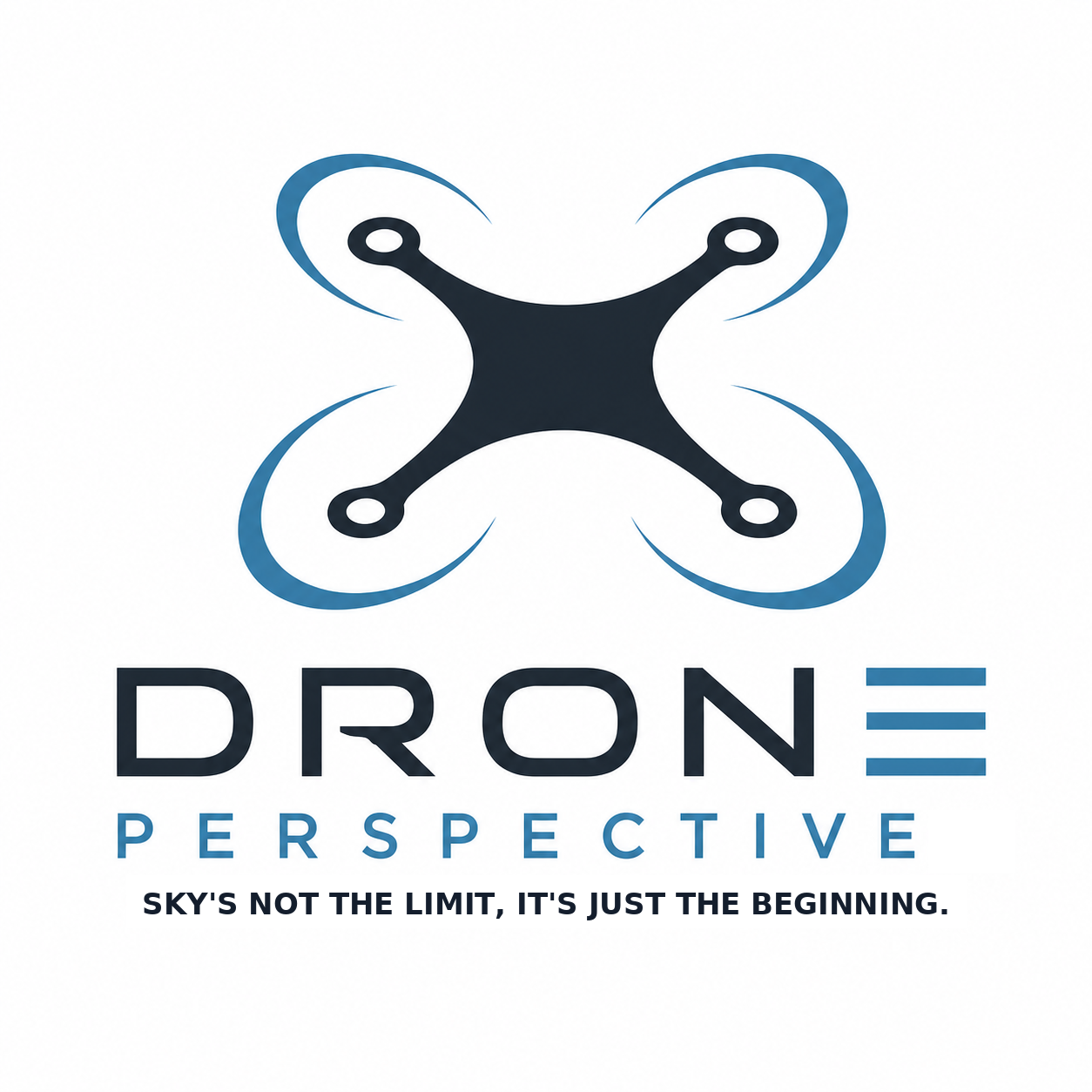 Drone Perspective